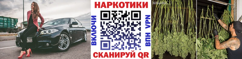 APVP Пушкино