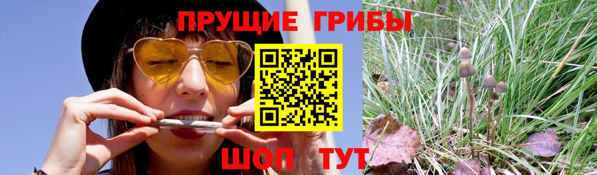 Галлюциногенные грибы Magic Shrooms Пушкино